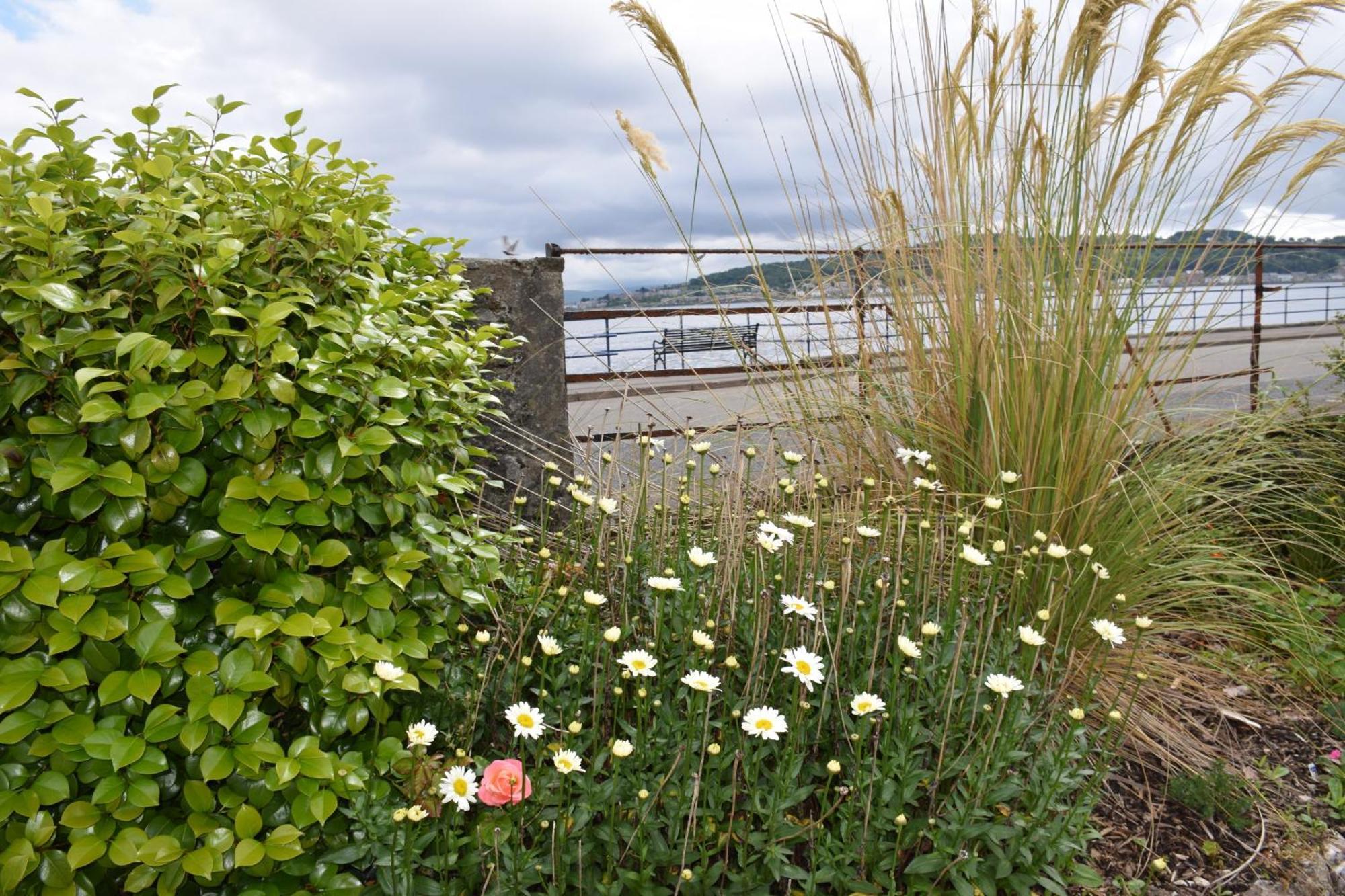 One Marine Place Port Bannatyne Zewnętrze zdjęcie